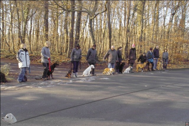 Training im und am Wald