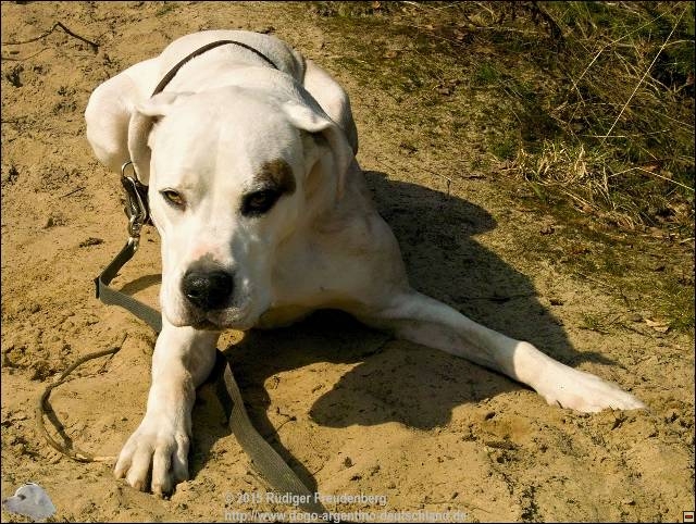 Sandbad im Frühling