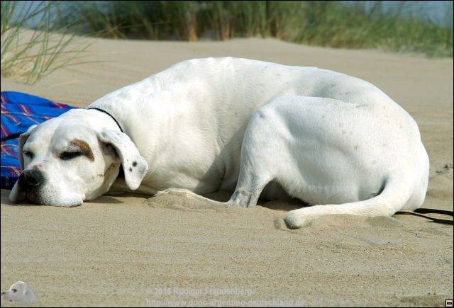 Sonne, feinkörniger Sand und weit und breit keine Menschenseele.