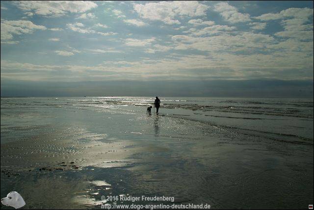 Strand De Koog bei Ebbe