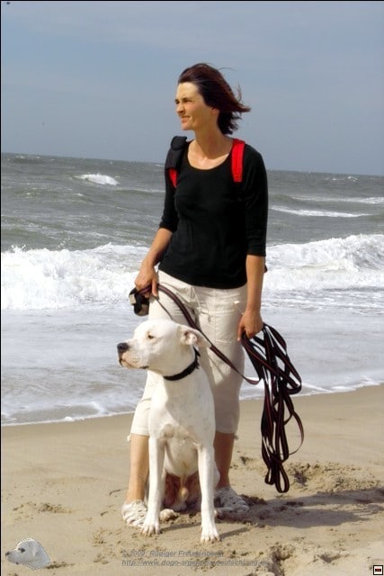 Sommer, Sonne, Strand, Wind und Chefin mit Hund