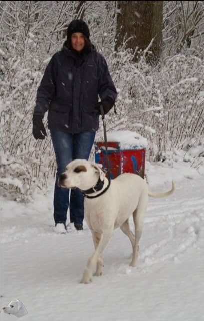 Schneefall in Mengen