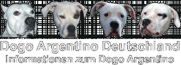 Dogo Argentino Deutschland