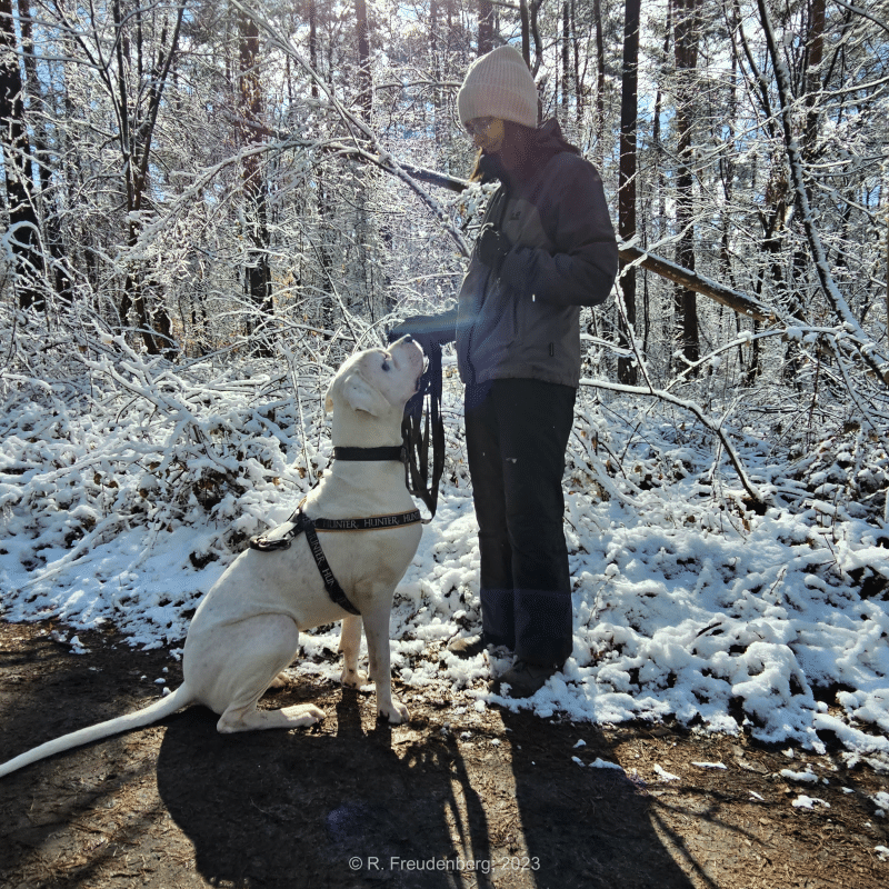 Chico und Heike im Wald bei Schnee