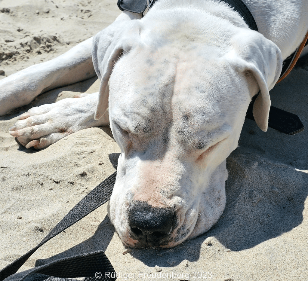 Pause am Strand.