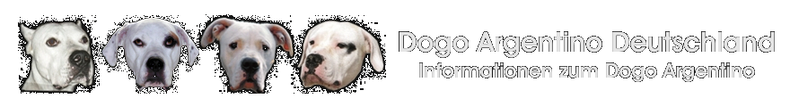Dogo Argentino Deutschland